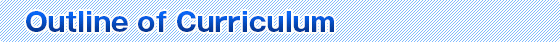 Outline of Curriculum