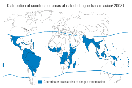 Distribution of countries or areas at risk of dengue transmission, worldwide, 2008）