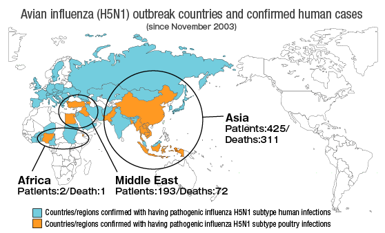 Avian influenza (H5N1) outbreak countries and confirmed cases in humans (since November, 2003)
