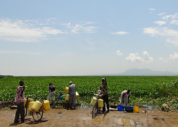 People often use unsanitary lake water for drinking and washing