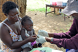 Malaria research