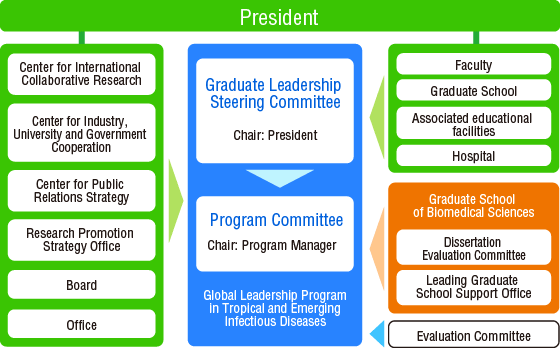 Program governance
