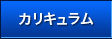 カリキュラム