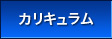 カリキュラム