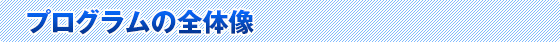 プログラムの概要